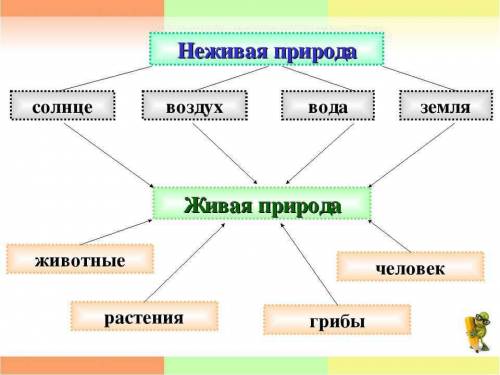 Примеры связей живой и неживой природы растения и животного человека и живой природы