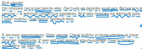 Подписать части речи над всеми словами на опушке леса расцвела ива. листьев на дереве еще нет. ветки