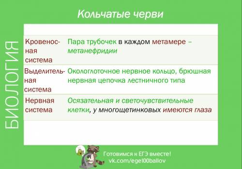 Используя дополнительную , подготовьте сообщение на тему( значение кольчатых червей в природе). сост