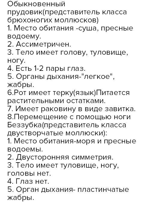 Счем связаны сходства и черты отличия в строение раковины