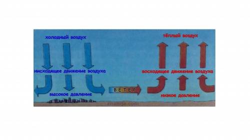 Ветер дует из области низкого давления в область высокого или наоборот? и объясните.