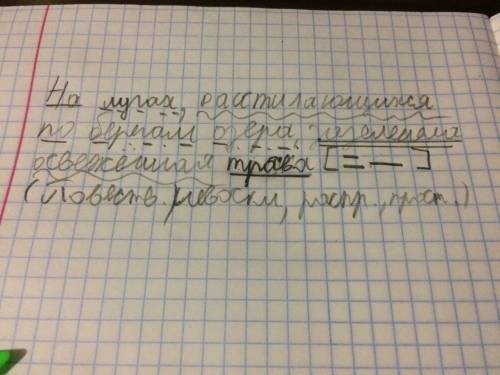 Сделать синтаксический разбор: на лугах, расстилающихся по берегам озера, зазеленела освежённая трав