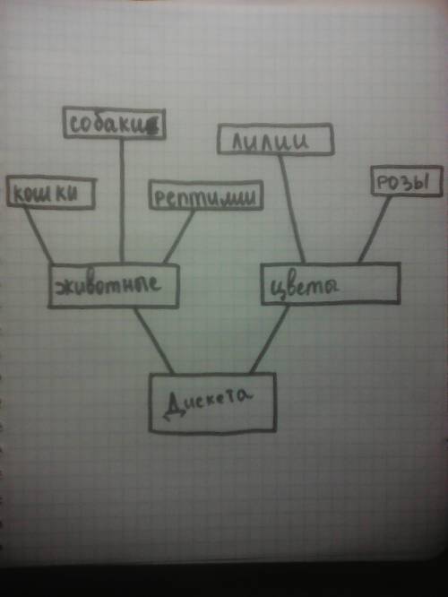 На дискете имеется 2 папки: “животные„ и “цветы„. в папке “животные„ находятся 3 папки: кошки,собаки