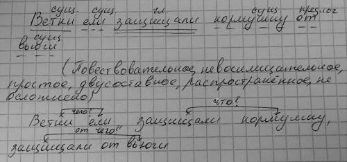 Ветки ели защищали кормушку от вьюги. с : разобрать по членам предложения,дать характеристику,выписа