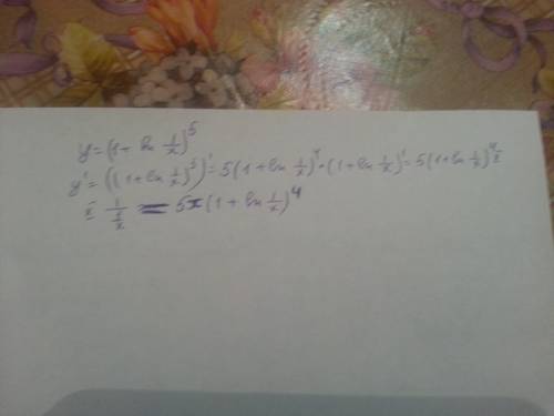 Определите производные функций y=(1+ln1/x) в степени5