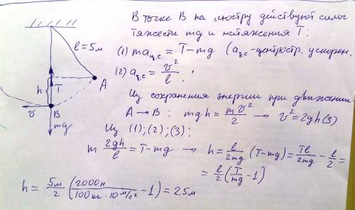 130 : люстра массой 100 кг подвешена к потолку на металлической цепи, длина которой 5м на какую высо