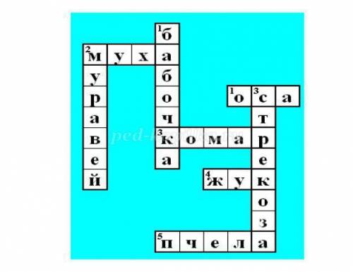 Мне нужно составить крассворд на тему насекомые