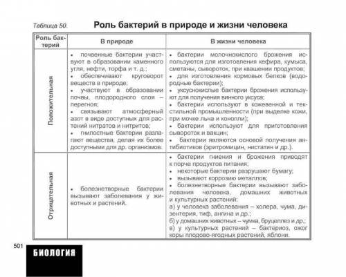 Роль бактерии в природе и жизни человека положительные и отрицательные показать в таблице