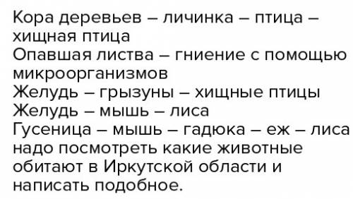 Подскажите какие животные водятся в лесу иркутской области и цепь питания