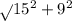 \sqrt{} 15^{2} + 9 ^{2}