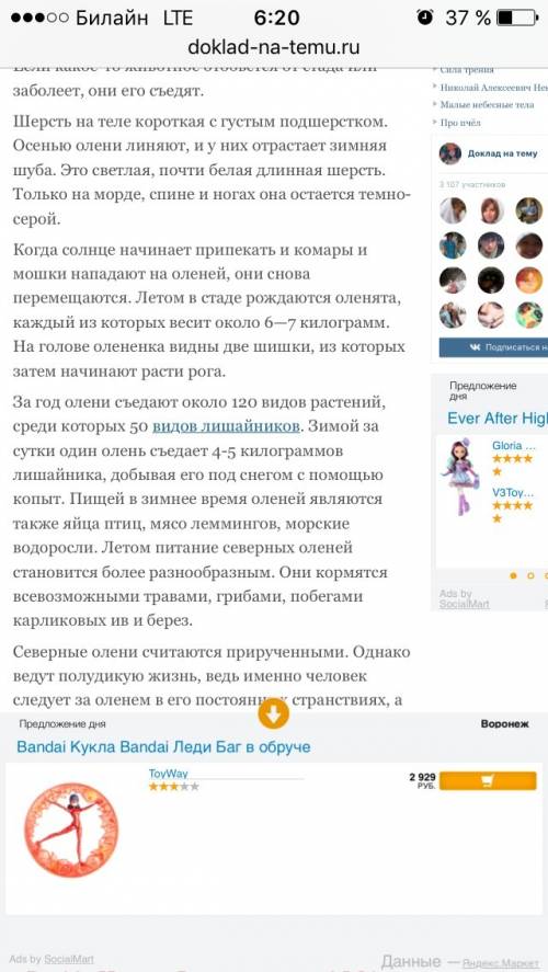 Доклад о оленях: как размножаются, что едят, сколько малышей и о малышах оленей то есть оленят* ! за