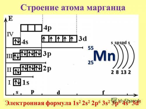 Распределите по квантовым ячейками электроны двух последних уровней атома марганца, соблюдая принцип