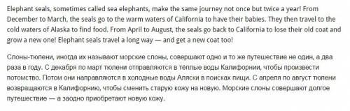 Дописать текст: elephant seals,sometimes called sea elephants,make the same journey not once