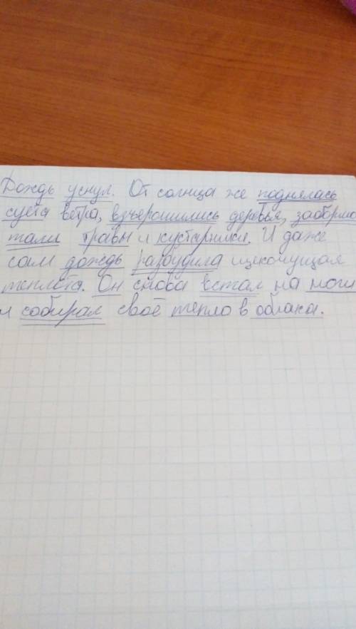 Подчеркните во всех предложениях подлежащее и сказуемое. дождь уснул.от солнца же поднялась суета ве