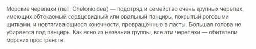 Морская черепаха расскажи по плану: каковы особенности внешнего вида, чем питается, где живет, как р