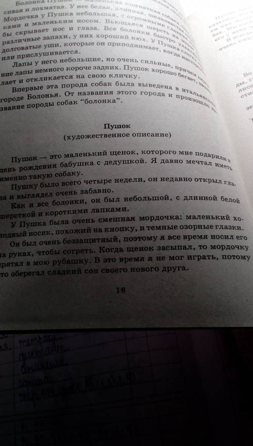 Написать сочинение о животном.его описание.