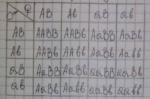 Черная окраска шерсти и висячее ухо у собак доминируют над коричневой окраской и стоячим ухом.скрещи