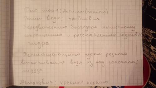 Примеры кишечнополостных животных: обитателей дна моря; толщи воды; передвигающихся мышечному сокращ