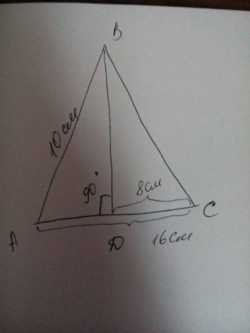Найдите высоту, проведенную к основанию равнобедренного треугольника, если его основание равно 16 см