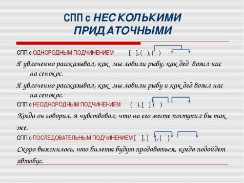 Нужна карточка с спп и придаточными, где написаны сами предложения с придаточными и нужно определить