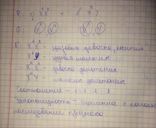 Решить ! у человека ген цветовой слепоты (дальтонизма – d) рецессивный и сцеплен с х-хромосомой. в с