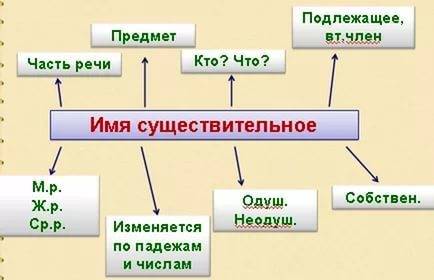 Составь кластер на темуимя существительное