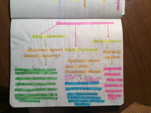 3систематика земноводных и пресмыкающихся 4 отряды земноводных и пресмыкающихся