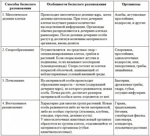 На каком этапе осуществляется бесполое размножение? !