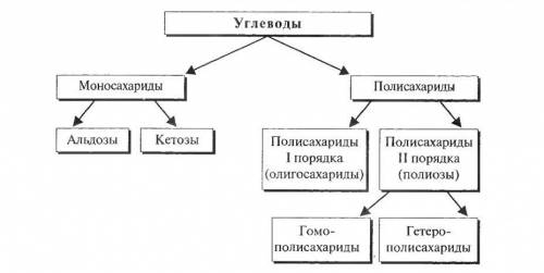 Напишите по биологии схему превращений углеродов