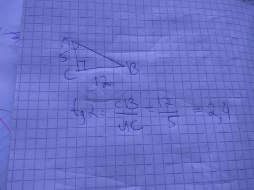 Втреугольнике abc угол c=90 ac=5 см, cb=12 см найти tg a