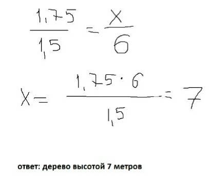 Длина тени дерева равна 6 м, а длина тени человека, рост которого 1,75 м равна 1,5 м. найдите высоту