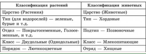 Все примеры биологической систематики растений