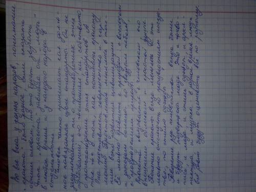 Сочинение-рассуждение всегда ли люди одинаково понимали красоту?