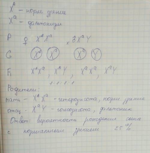 Дальтонизм — рецессивный признак, сцепленный с х-хромосомой. в семье, где мать обладает нормальным ц