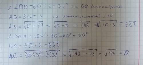 Впрямогугольном треугольнике острый угол = 60, а биссектриса этого угла 8 см.найдите длину катита ле