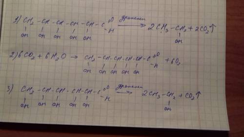 Cоставьте уравнение реакций соответствующих схеме: глюкоза -> углекислый газ -> глюкоза ->