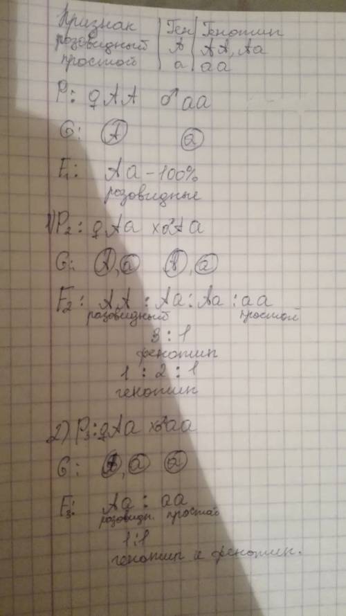 1. у кур розовидный гребень является доминантным (а) признаком, а простой - рецессивным (а). каким б
