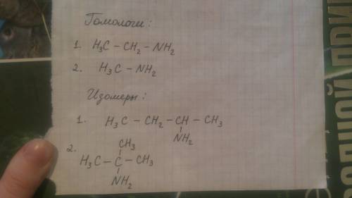 Составьте 2 гомолога и 2 изомера для вещества c4h9nh2