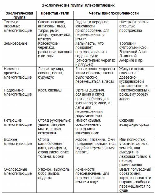 Основные экологические группы млекопитающих. экологическая группа, основные черты, представители. ,