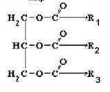 Структурная формула растительного масла ?