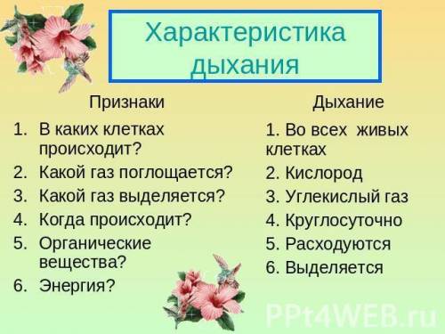 Дыхание растений происходит только в надземнойчасти растенийи днем и ночью б)во всех клетках растени