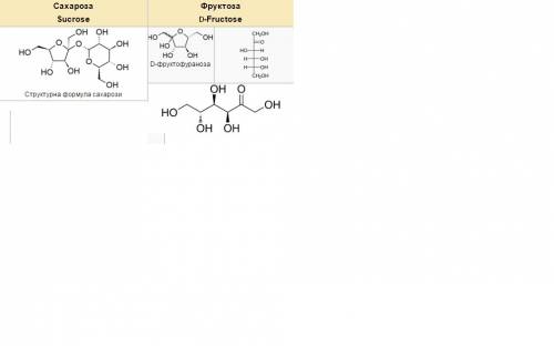 Що спільного і відмінного у будові фруктози і сахарози?