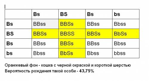 Укошек черной окраски шерсти (b) доминирует над геном рыжей окраски (b), а ген короткой шерсти (s) д