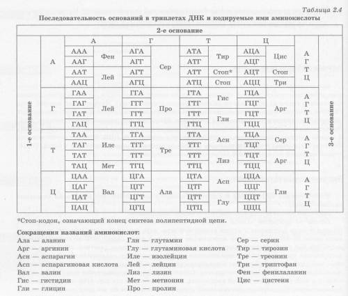 Один из полипептидов рибонуклеазы имеет следующее строение: лизин – аспарагиновая кислота – глицин –