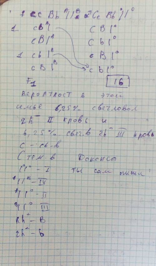 Светловолосая резус-положительная женщина с iv группой крови выходит замуж за темноволосого резус-по