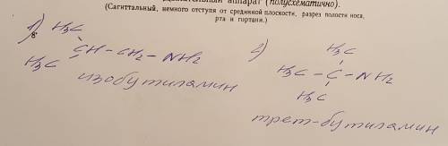 Умоляю, ! составьте структурные формулы двух изомерных аминов состава c4h11n. назовите изомеры по си