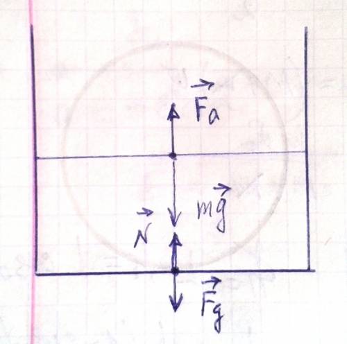 Дубовый шар лежит в сосуде с водой так что половина его находится в воде и он касается дна с какой с
