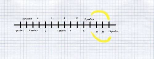 Саша наловил карасей . карасей больше 12, но меньше 15. сколько карасей мог поймать саша?