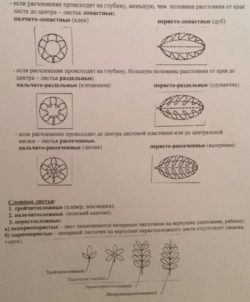 Слетним дз по биологии, ! мне нужно собрать гербарий листья простые и сложные. объясните тему, и ска