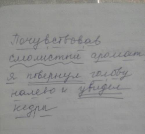 Сделайте синтаксический разбор предложения: почувствовав смолистый аромат, я повернул голову налево